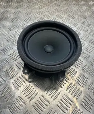Rear door speaker