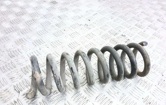 Rear coil spring