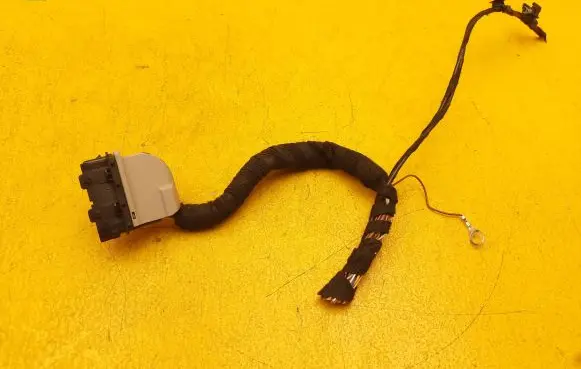 Audi R8 4S Other wiring loom 4S0972701