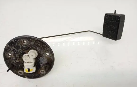 Suzuki Grand Vitara II Fuel level sensor 2920