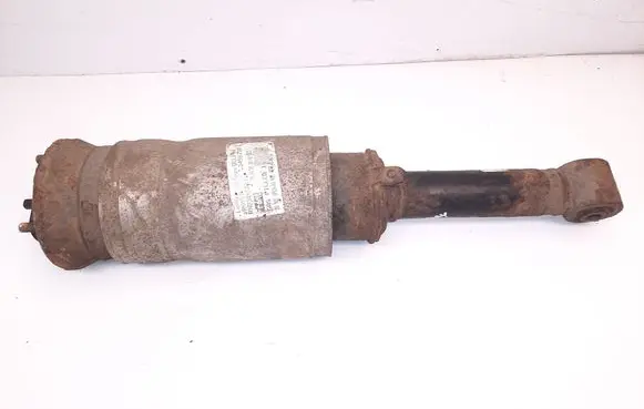 Land Rover Range Rover Sport L320 Front air suspension shock absorber 3498720 RNB500223 22227491