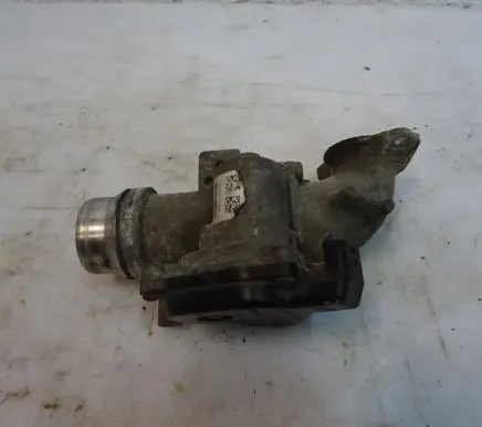 Throttle body valve