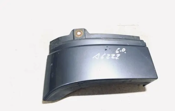 Rear/tail light trim molding