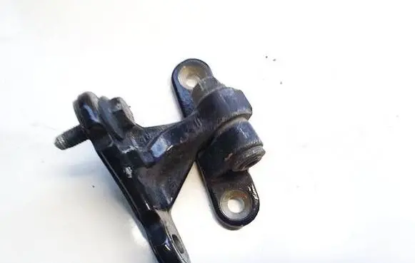 Rear door lower hinge