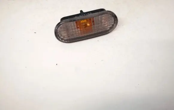 Front fender indicator light