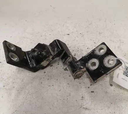 Citroen Berlingo Rear door lower hinge