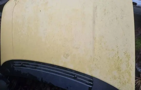 Mitsubishi Space Runner Engine bonnet/hood
