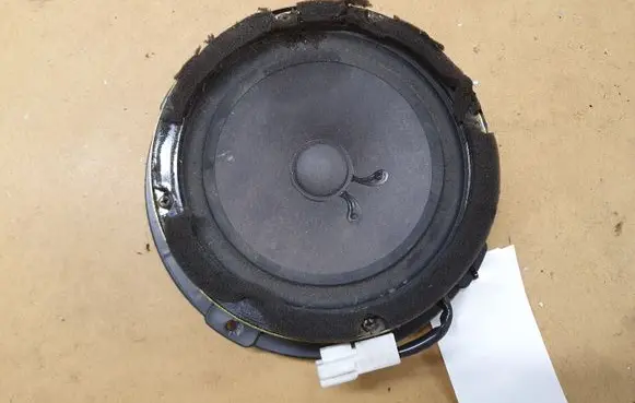 Panel speaker