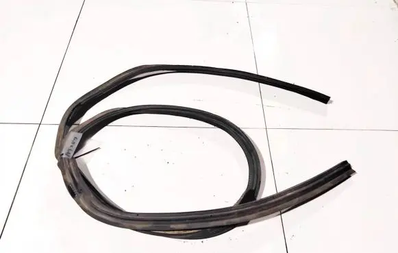 Renault Espace - Grand espace IV Rubber seal rear door 