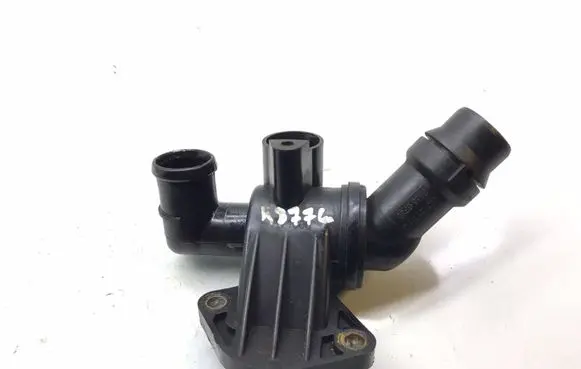Thermostat/thermostat housing