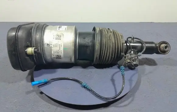 BMW X5 E53 Rear shock absorber/damper 7831561