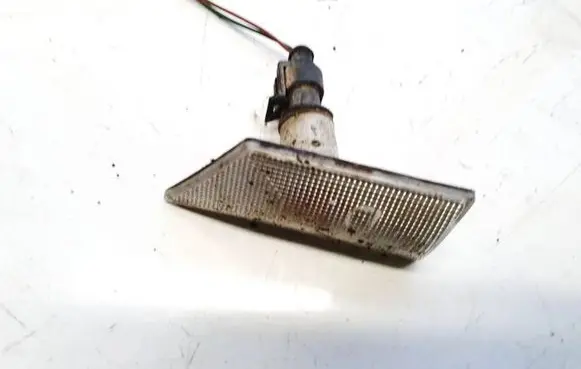 Front fender indicator light