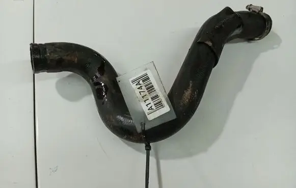 Nissan Primera Engine coolant pipe/hose 