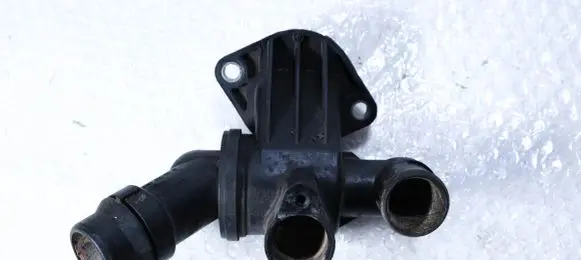 Thermostat/thermostat housing