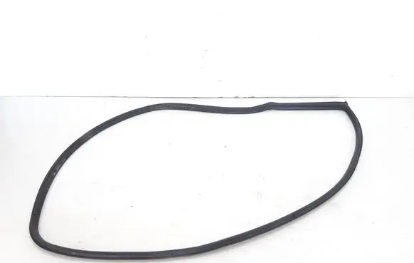 BMW 1 E82 E88 Front door rubber seal 