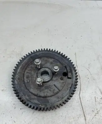 Renault Vel Satis Timing chain sprocket 