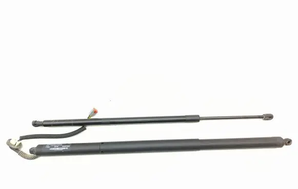 Chrysler Pacifica Tailgate/trunk strut/damper 68455759AA C0AH25900 777027