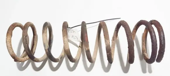 Ford Focus Rear coil spring