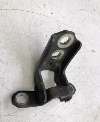 Nissan Juke I F15 Front door lower hinge 