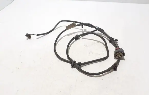 Other wiring loom