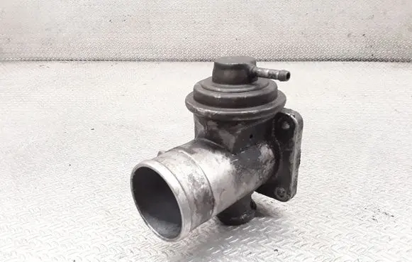 EGR valve