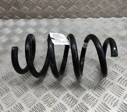 Tesla Model Y Rear coil spring 118847500D