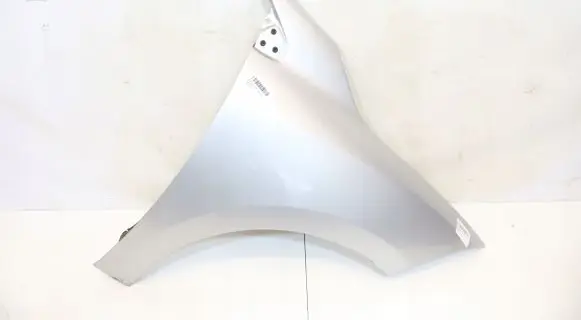 Renault Megane III Fender