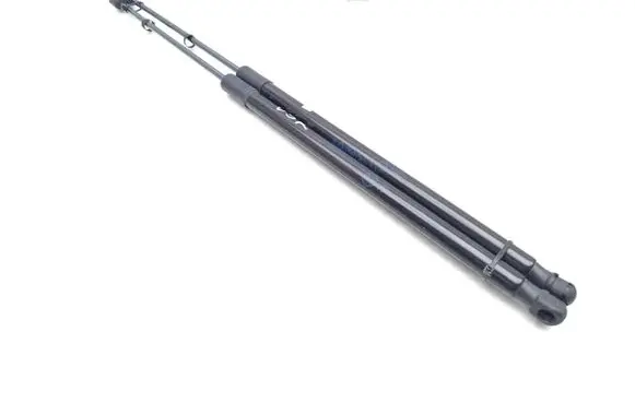 Tailgate/trunk strut/damper