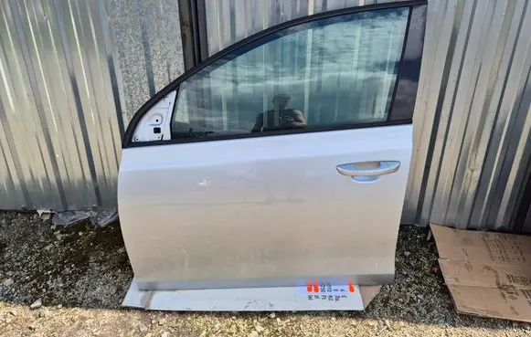 Volkswagen Golf VI Front door 