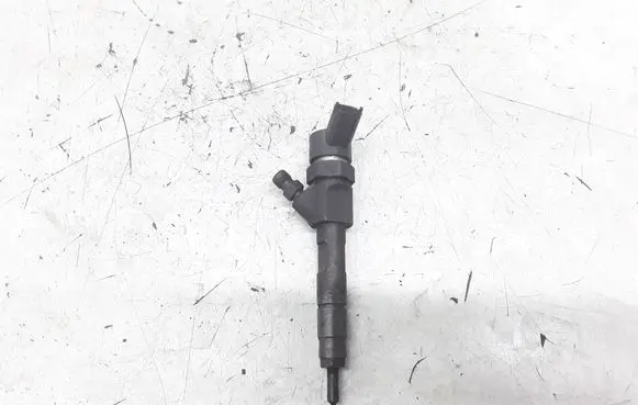 Renault Megane II Fuel injector 8200100272