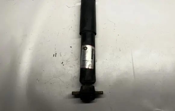 Dodge RAM 1500 DS Front shock absorber/damper 05154666AC