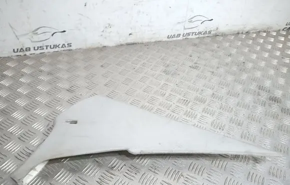 Volkswagen PASSAT B7 (C) pillar trim 3AE867242