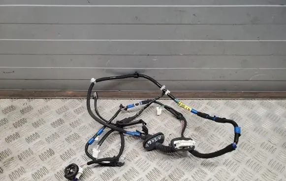Lexus NX Rear door wiring loom 8215478010