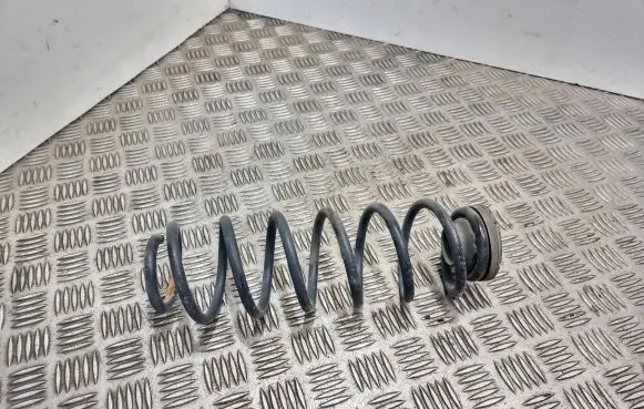 Volkswagen Cross Polo Rear coil spring