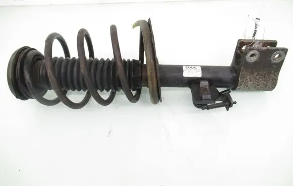 Peugeot 307 Front shock absorber with coil spring