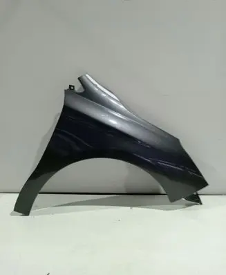 Citroen C4 II Fender