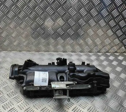 Opel Insignia A Intake manifold 0281006076 55565592