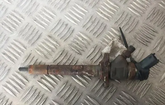 Volvo V50 Fuel injector 0445110259 328480