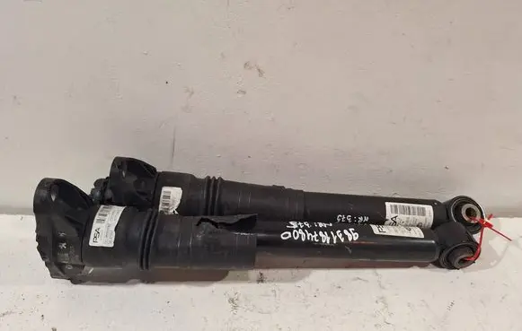 Peugeot 208 Rear shock absorber/damper 9831187480