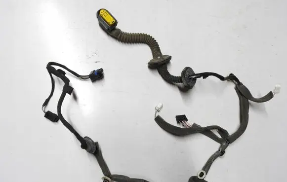Renault Scenic III - Grand scenic III Rear door wiring loom 241275964R
