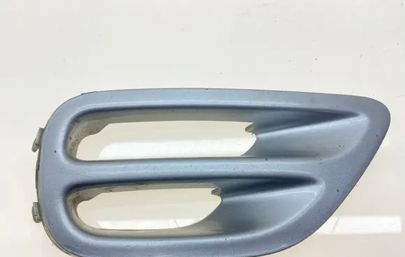 Front fog light trim/grill