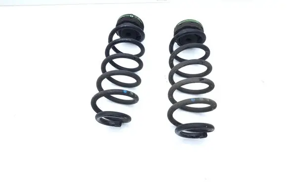 Rear coil spring