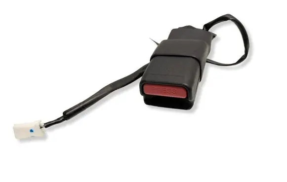 Nissan Leaf II (ZE1) Rear seatbelt buckle 2094330