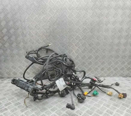Skoda Elroq Engine installation wiring loom TAB019592A 1EA971445