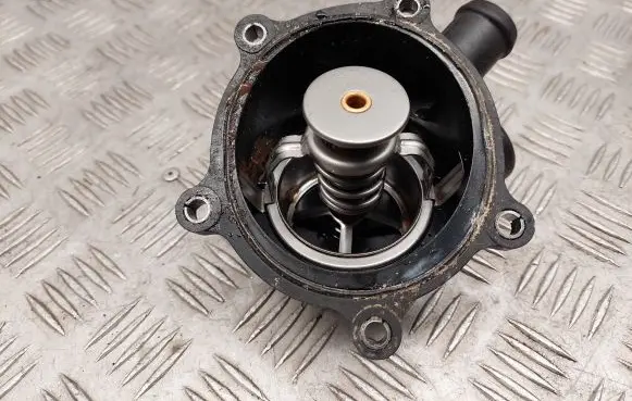 Thermostat/thermostat housing