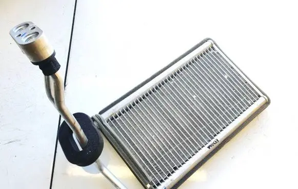 KIA EV6 Heater blower radiator