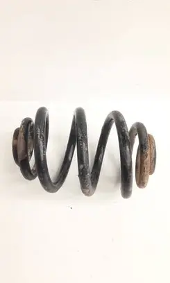 Rear coil spring