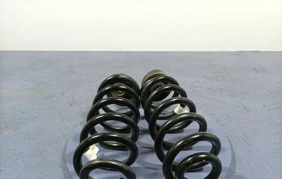 Rear coil spring
