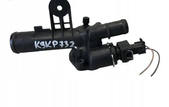Thermostat/thermostat housing