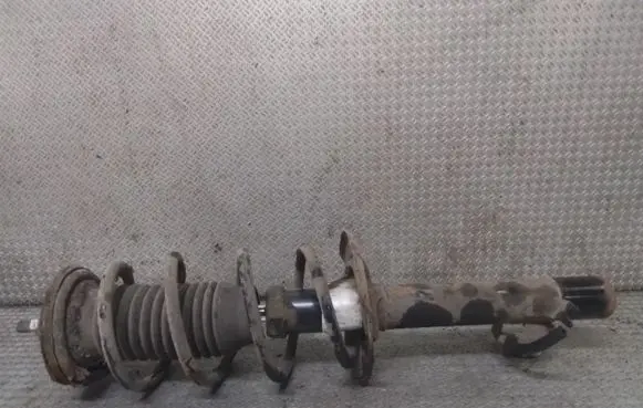 Peugeot 107 Front shock absorber with coil spring